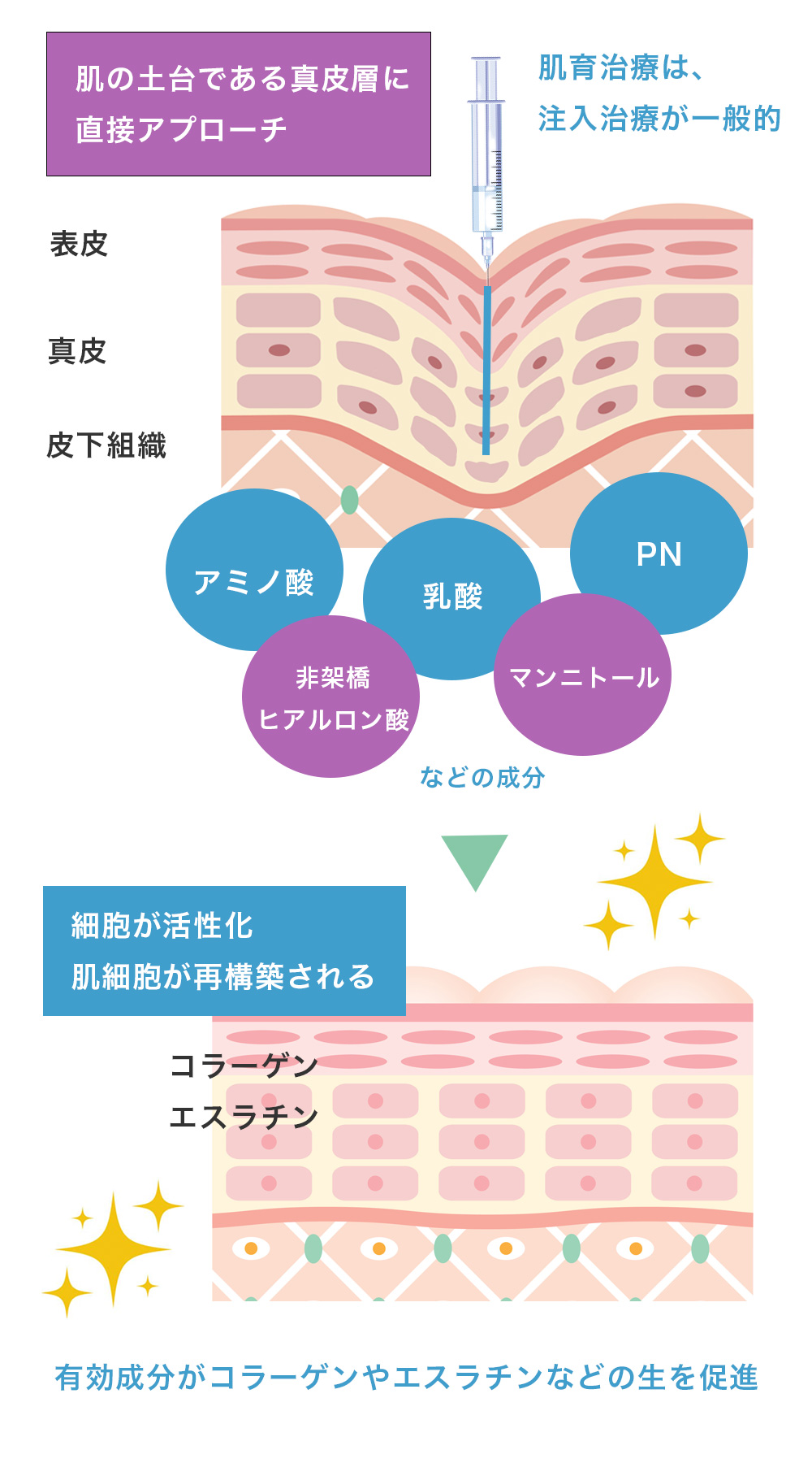 肌育