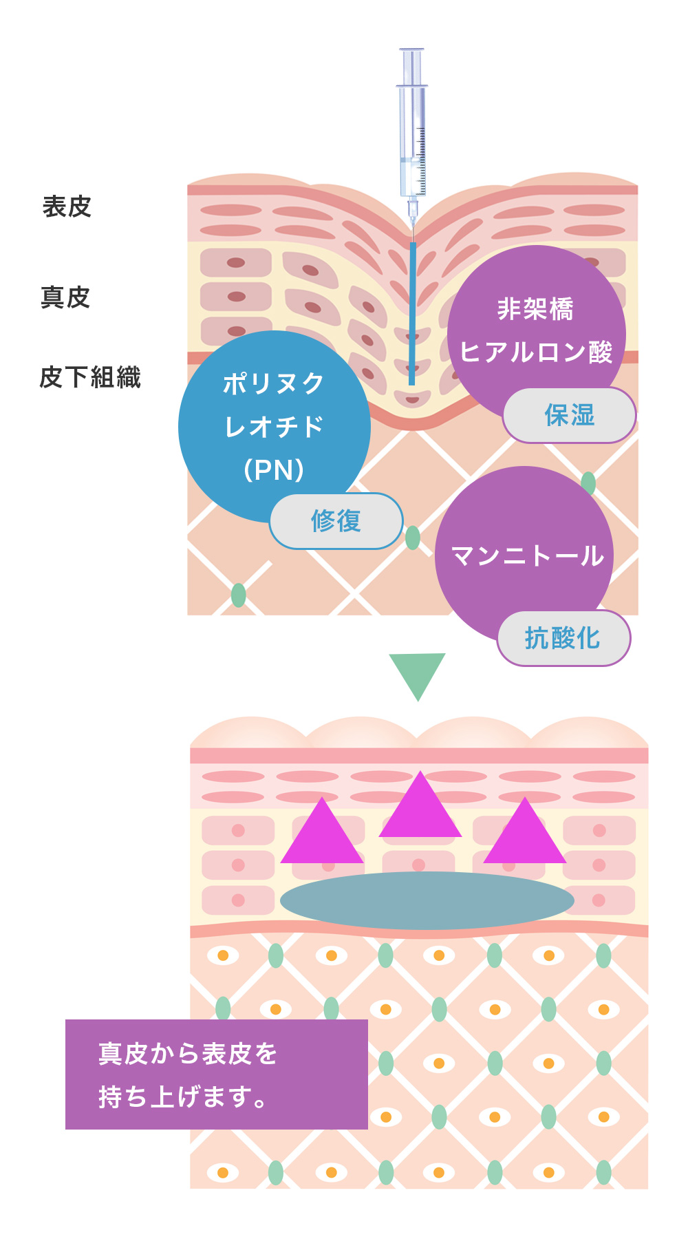 プルリアル デンシファイ